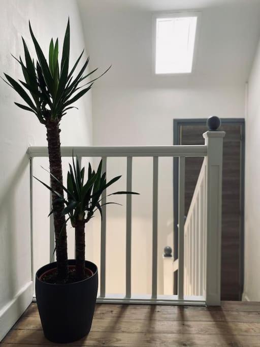 Appartement Duplex La Cambu'Z Le Portel Plage 外观 照片